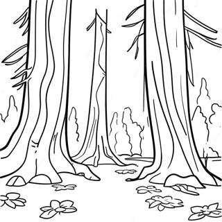 California Redwood Skog Fargeleggingsside 102684 40882