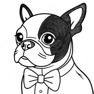 Boston Terrier I Sloyfe Fargeleggingsark 105641-43203