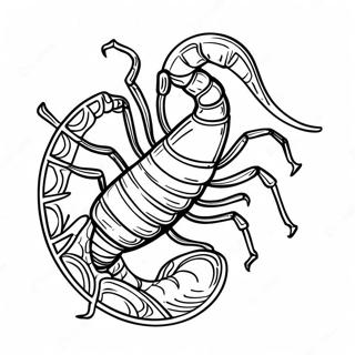 Skorpion Fargeleggingsside 106231-43646