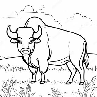 Majestetisk Bison I En Eng Fargeleggingsside 107640-44755