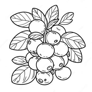 Realistisk Fargelegging Av Blabaerklase 117935-53124