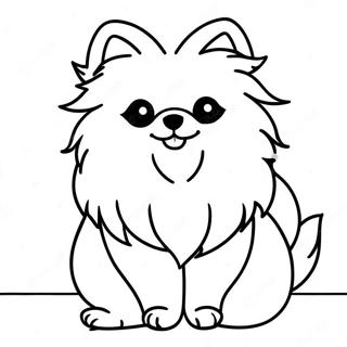 Pomeranian Fargeleggingsider