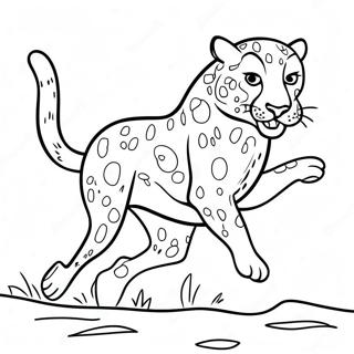 Gepard Fargeleggingsider