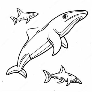 Hammerhodehai Svommer Fargeleggingsside 53217-11648