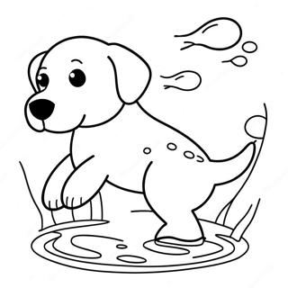 Labrador Fargeleggingsark