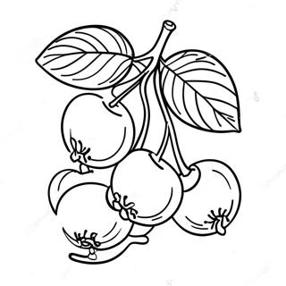 Kirsebær Fargeleggingsark