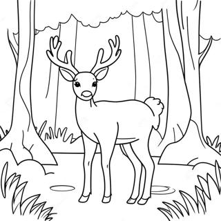 Grasios Hjort I Skogen Fargeleggingsside 92326 31993