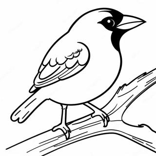 Orioler Med Lyse Fjaer Fargeleggingsside 99397 38032